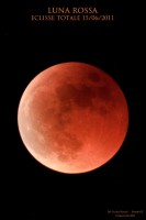 /album/galleria-foto-homepage/mg-0805r-jpg/